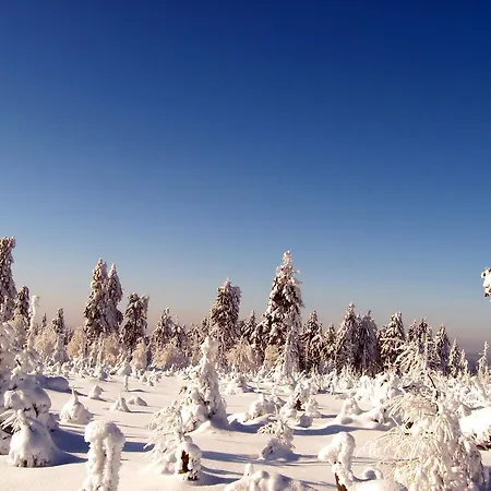 בית הארחה Eldorado 3*