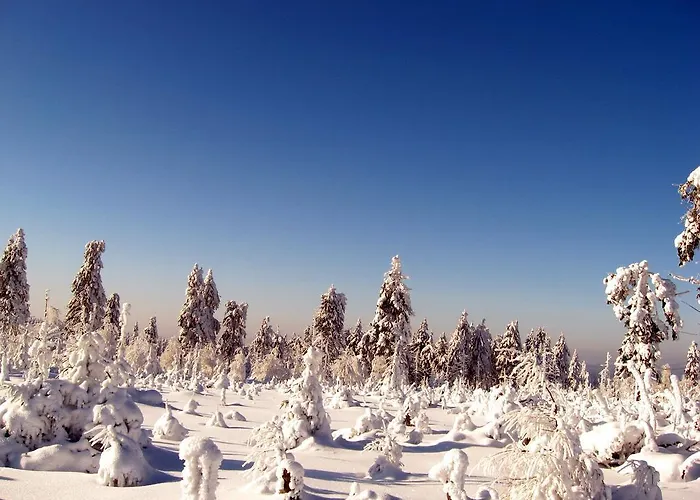 招待所 Eldorado 3*